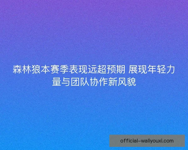 森林狼本赛季表现远超预期 展现年轻力量与团队协作新风貌