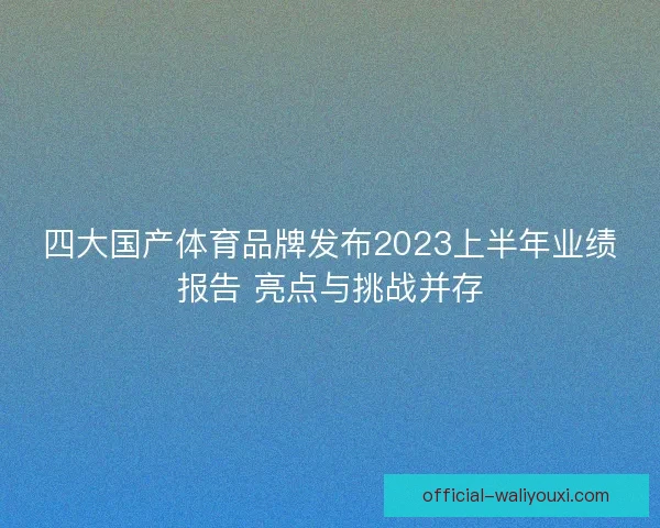四大国产体育品牌发布2023上半年业绩报告 亮点与挑战并存